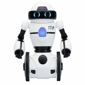 Top 10 Educational Robot 