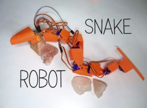 Snake Robot